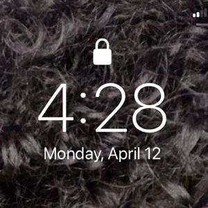 Meet your Posher, Genesis